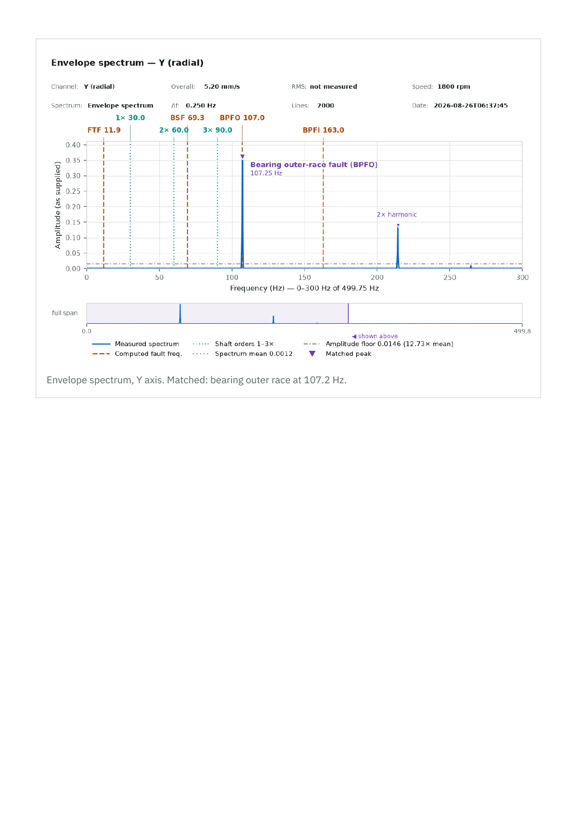 Report page 8: the envelope spectrum for the Y axis with computed fault frequencies marked and the matched peak labelled.